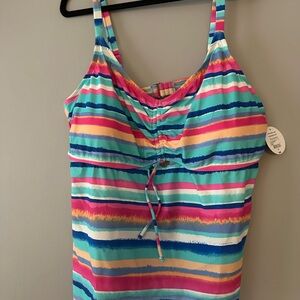 Decree Blue and Pink Striped One-Piece Swimsuit